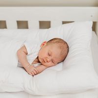 NurtureOne™ Nesting Cushion No.3